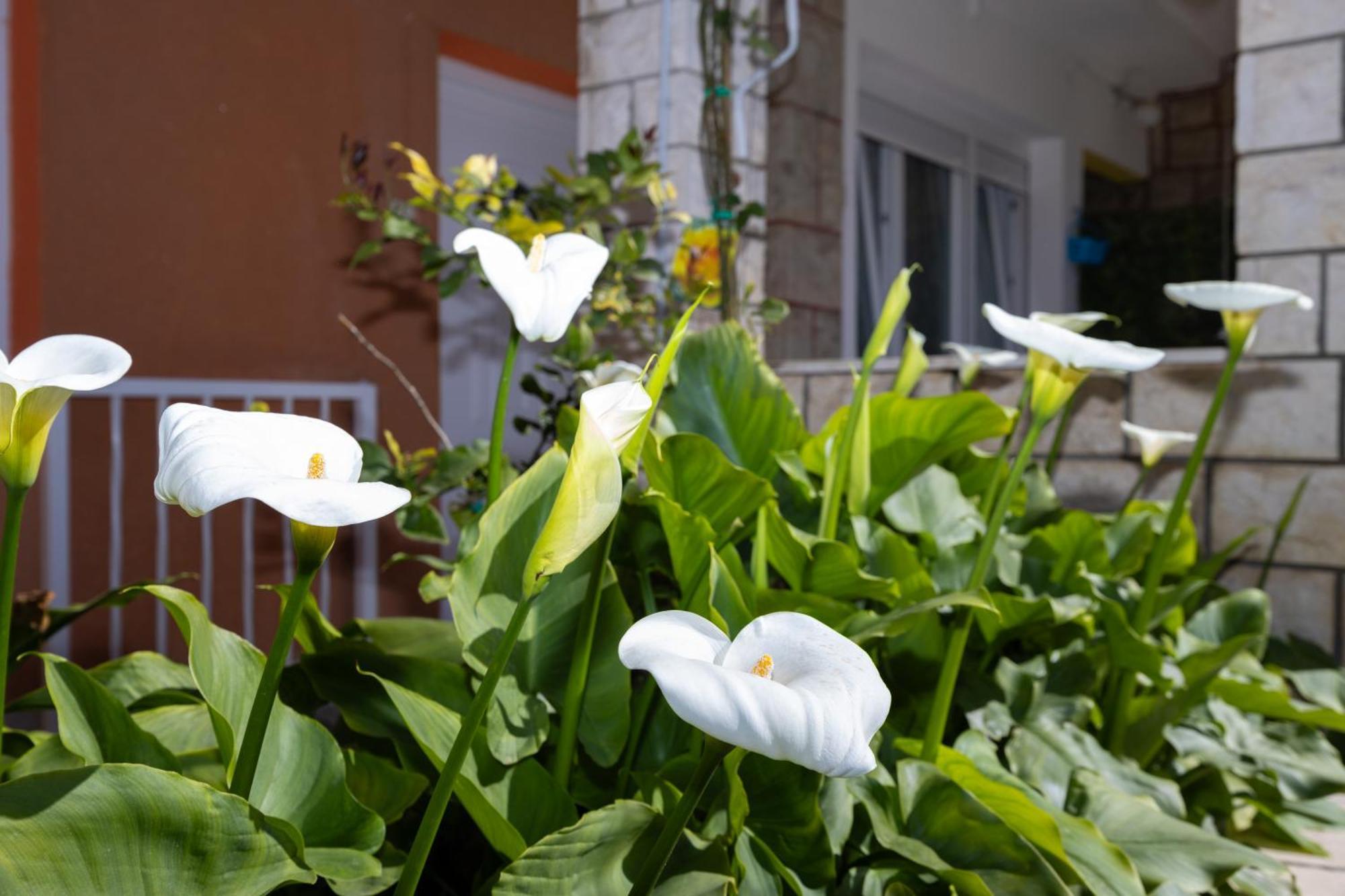 Apartments Marija Split Exterior photo